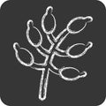 Icon Barberry. related to Spice symbol. chalk Style. simple design editable. simple illustration