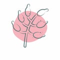 Icon Barberry. related to Spice symbol. Color Spot Style. simple design editable. simple illustration