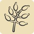 Icon Barberry. related to Spice symbol. hand drawn style. simple design editable. simple illustration