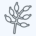 Icon Barberry. related to Spice symbol. line style. simple design editable. simple illustration