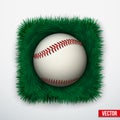 Icon Baseball ball in green grass. Vector.