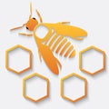 Icon bee and honeycomb