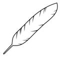 Icon of the bird feather Royalty Free Stock Photo