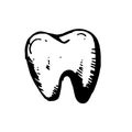 Icon black Hand drawn Simple outline Tooth Symbol. vector Illustrator. on white background