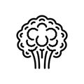 Black line icon for Broccoli, calabrese broccoli and veggie Royalty Free Stock Photo