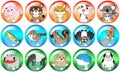 Icon and Button wind illustration of 15 kinds of animal, chicken and fish