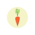 Icon carrot root vegetable , vector illustration