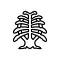 Black line icon for Cedar, leaf and arborvitae