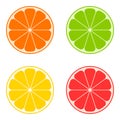 Icon citrus: orange, lime, lemon, grapefruit. Vector. Royalty Free Stock Photo