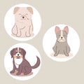 icon collection dogs