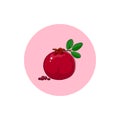 Icon Colorful Pomegranate