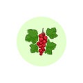 Icon Colorful Redcurrant