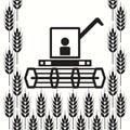 Icon of combine harvester and wheat ears, vector Royalty Free Stock Photo