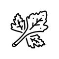 Black line icon for Coriander, herb and leaf