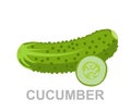 Icon Cucumber whole and section