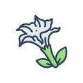 Color illustration icon for Datura Stramonium, apple and weed Royalty Free Stock Photo
