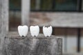 Icon of decayed tooth and healthy tooth Royalty Free Stock Photo