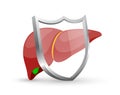 Human liver sign with a shield. Royalty Free Stock Photo
