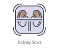 Icon design kidney scan in flat line style.