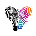 Zebra head, Black and colorful in heart shape. Royalty Free Stock Photo