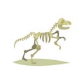 Flat vector icon of dinosaur skeleton. Tyrannosaurus Rex. Bones of prehistoric reptile. Fossil exhibit. Ancient museum