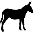 Icon of donkey silhouette. Black illustration of farm animal