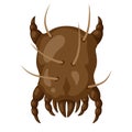 Icon dust mite insect.