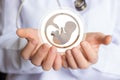 Icon of the embryo in the doctor`s hand. Royalty Free Stock Photo