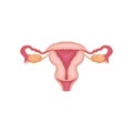 Icon of female reproductive system. Biology and physiology concept. Human anatomy. Graphic design for infographic or Royalty Free Stock Photo