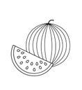 Line watermelon Icon flat illustration isolated on white background