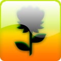Icon with flower Royalty Free Stock Photo