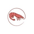 Fresh shrimp icon