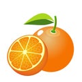 The Icon fruit orange. Slice tangerine fruit . Isolated on white background .Vector