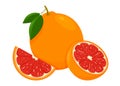 Icon Grapefruit. Set with whole fruit, slice and a half, with leaves. Isolated vector illustration in a flat style