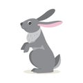 Icon of gray hare isolated, forest, woodland animal