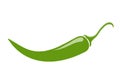 Icon Green spicy pepper. Isolated on white. Vector