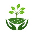 Icon of hands carefully holding green leaves. Symbol of ecology, environmental awareness, nature.