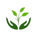 Icon of hands carefully holding green leaves. Symbol of ecology, environmental awareness, nature.