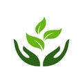 Icon of hands carefully holding green leaves. Symbol of ecology, environmental awareness, nature protection concept.