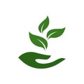 Icon of hands carefully holding green leaves. Symbol of ecology, environmental awareness, nature protection concept.