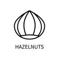 Icon Of The Hazelnut Line In A Simple Style. A Source Of Milk Of Vegetable Origin. Vector sign in a simple style