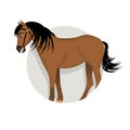 Icon of horse for horoscope Chinese on white background