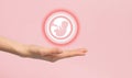 Icon of human embryo rests on white female hand. Close-up, pink background. The concept of the origin of the world