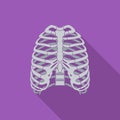 Icon of human thorax. Royalty Free Stock Photo