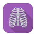 Icon of human thorax. Royalty Free Stock Photo