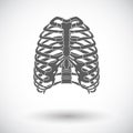 Icon of human thorax. Royalty Free Stock Photo