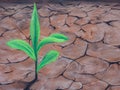 Icon image of drought climate change