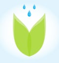 Icon irrigation