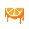 Icon of Juicy Orange