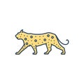 Color illustration icon for Leopard, carnivorous and cheetah